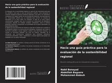 Capa do livro de Hacia una guía práctica para la evaluación de la sostenibilidad regional 