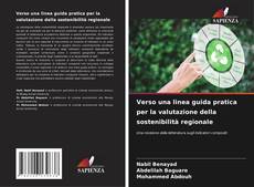 Verso una linea guida pratica per la valutazione della sostenibilità regionale的封面