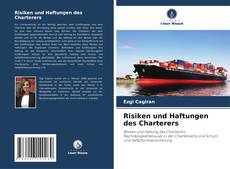 Risiken und Haftungen des Charterers的封面