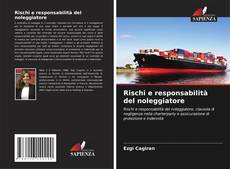 Rischi e responsabilità del noleggiatore的封面