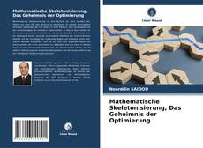 Portada del libro de Mathematische Skeletonisierung, Das Geheimnis der Optimierung