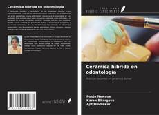 Buchcover von Cerámica híbrida en odontología