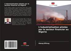 L'industrialisation pilotée par le secteur financier au Nigeria的封面