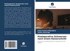 Bookcover of Postoperative Schmerzen nach einem Kaiserschnitt