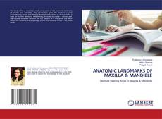 Portada del libro de ANATOMIC LANDMARKS OF MAXILLA & MANDIBLE