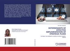 Portada del libro de DETERMINANTS OF EFFECTIVE IMPLEMENTATION OF STRATEGIC PLANS