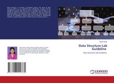 Couverture de Data Structure Lab Guideline
