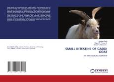 Bookcover of SMALL INTESTINE OF GADDI GOAT