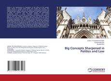 Buchcover von Big Concepts Sharpened in Politics and Law