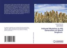 Обложка Induced Mutation in M3 Generation of Kharif Sorghum