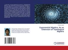 Buchcover von Exponential Algebra: As an Extension of Topological Algebra