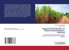 Capa do livro de Sugarcane Production in District Muzaffargarh, Pakistan 