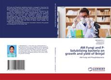 AM Fungi and P- Solubilizing bacteria on growth and yield of Brinjal kitap kapağı