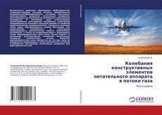 Колебания конструктивных элементов летательного аппарата в потоке газа的封面