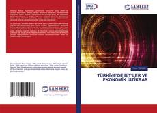 TÜRKİYE'DE BİT’LER VE EKONOMİK İSTİKRAR的封面