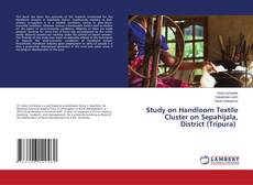 Capa do livro de Study on Handloom Textile Cluster on Sepahijala, District (Tripura) 
