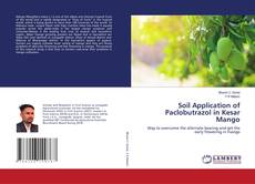 Soil Application of Paclobutrazol in Kesar Mango的封面