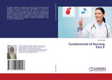 Copertina di Fundamental of Nursing. Part II