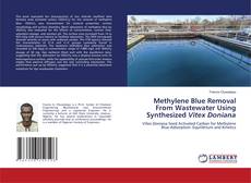 Buchcover von Methylene Blue Removal From Wastewater Using Synthesized Vitex Doniana