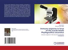 Copertina di Immune response in larva of the scarab beetle Phyllognathus excavatus