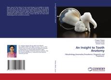 Copertina di An Insight to Tooth Anatomy
