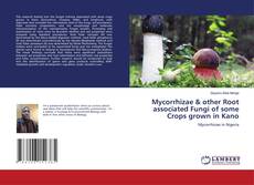 Buchcover von Mycorrhizae & other Root associated Fungi of some Crops grown in Kano