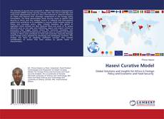 Buchcover von Hasevi Curative Model