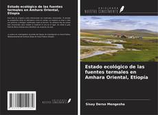 Capa do livro de Estado ecológico de las fuentes termales en Amhara Oriental, Etiopía 