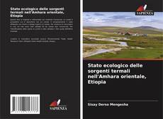 Buchcover von Stato ecologico delle sorgenti termali nell'Amhara orientale, Etiopia