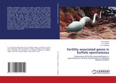 Copertina di Fertility associated genes in buffalo spermatozoa