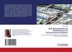 Couverture de Risk Management & Performance of Infrastructural Projects