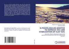 Copertina di N-POZZOLANA:AN ADDITIVE TO IMPROVE THE LIME STABILIZATION OF CLAY SOIL