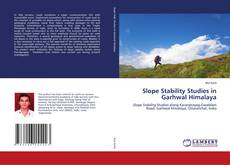 Slope Stability Studies in Garhwal Himalaya kitap kapağı