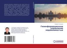 Геоинформационное управление недвижимостью的封面