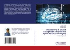 Copertina di Despeckling & Object Recognition in Synthetic Aperture RADAR Imagery