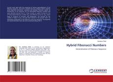 Copertina di Hybrid Fibonacci Numbers
