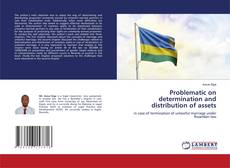 Обложка Problematic on determination and distribution of assets