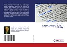 INTERNATIONAL HUMAN RIGHTS kitap kapağı