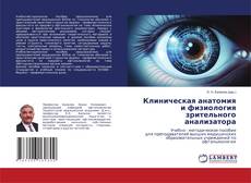 Клиническая анатомия и физиология зрительного анализатора的封面