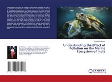 Buchcover von Understanding the Effect of Pollution on the Marine Ecosystem of India