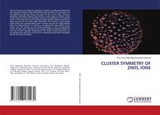 Copertina di CLUSTER SYMMETRY OF ZINTL IONS