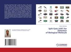 Capa do livro de Split Gate JLFET for Detection of Biological Molecule 