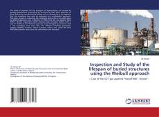 Inspection and Study of the lifespan of buried structures using the Weibull approach kitap kapağı