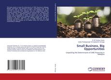 Copertina di Small Business, Big Opportunities