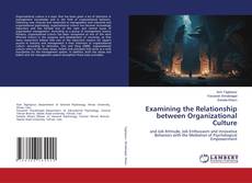 Capa do livro de Examining the Relationship between Organizational Culture 