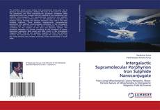 Intergalactic Supramolecular Porphyrion Iron Sulphide Nanoconjugate kitap kapağı