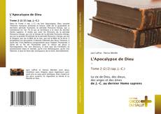 Copertina di L'Apocalypse de Dieu - Tome 2 (2/2) (ap. J.-C.)