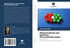 Bookcover of Metamorphose der globalen Herausforderungen