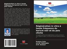 Copertina di Régénération in vitro à haute fréquence du haricot noir et du pois chiche