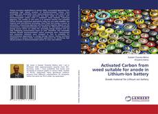 Activated Carbon from weed suitable for anode in Lithium-Ion battery kitap kapağı
